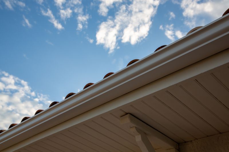 Gutter and Roof Edge Services